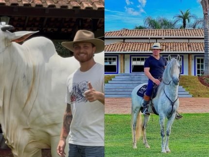 Eduardo Costa e Gustavo Tubarão compram vaca de avaliada em R$ 2 milhões em leilão