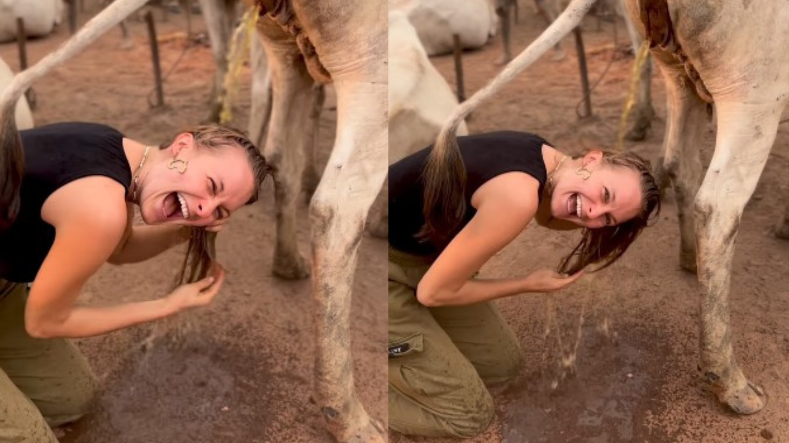 Influenciadora famosa lava o cabelo com urina de vaca: “Só se vive uma vez”