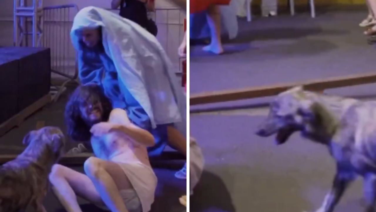 Cachorro tenta salvar Jesus em peça da Paixão de Cristo; assista