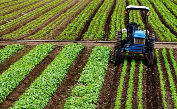 Plano Safra 2025/2026: Crédito rural empresarial atinge R$ 404 bilhões