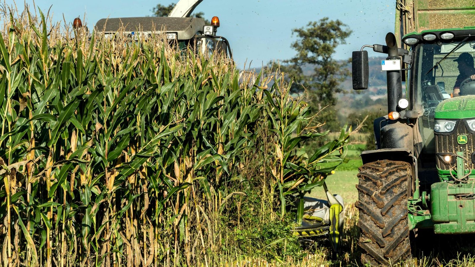 Idoso morre após ter parte do corpo triturada por máquina agrícola no interior do estado
