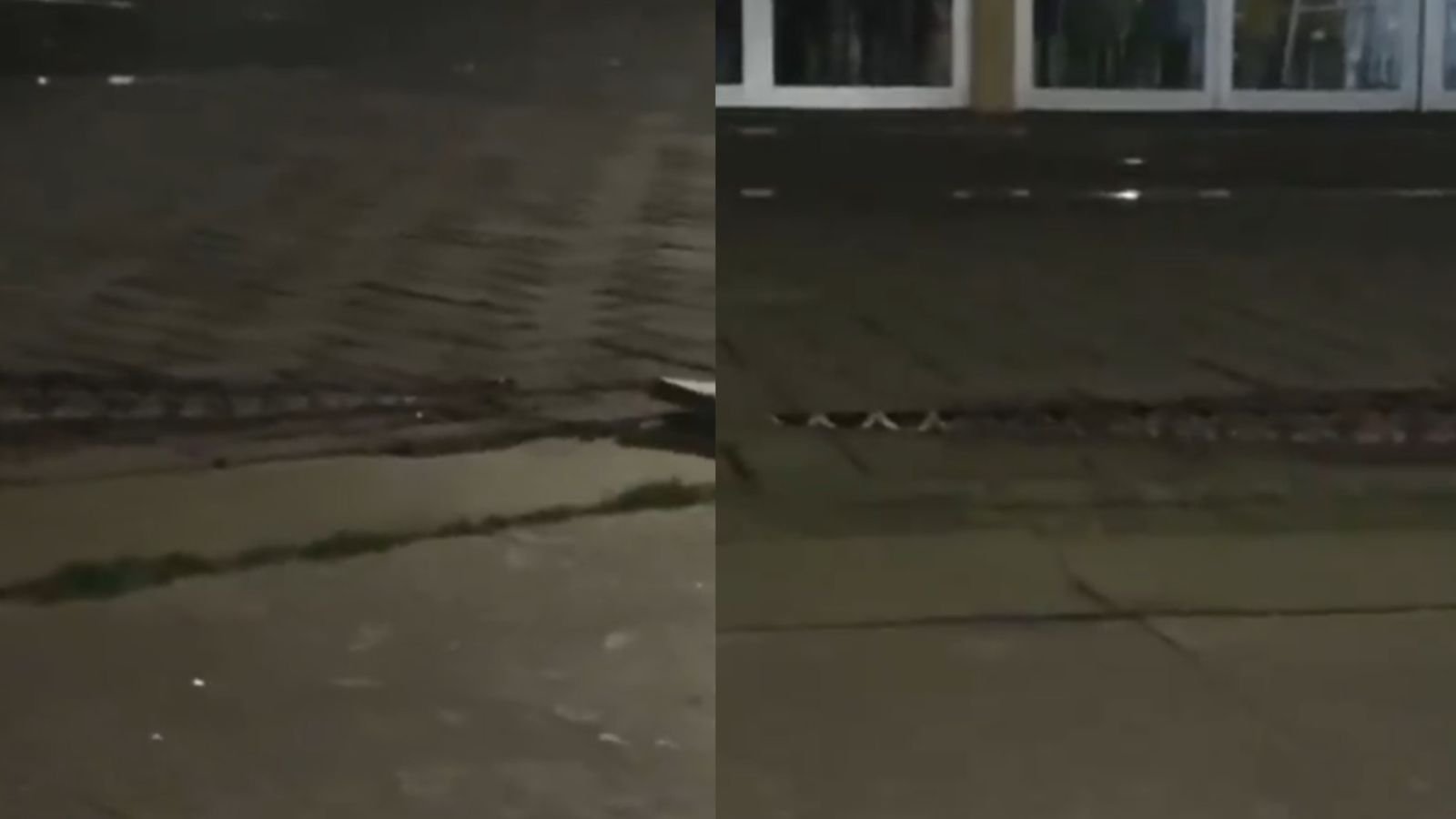 VÍDEO: Cobra gingante é flagrada no restaurante da UFBA