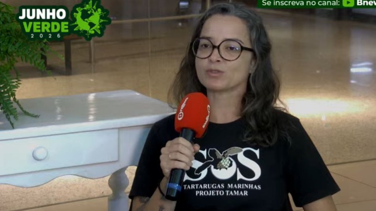 Junho Verde: Coordenadora aponta como o conceito de sustentabilidade está presente no dia a dia do Projeto Tamar
