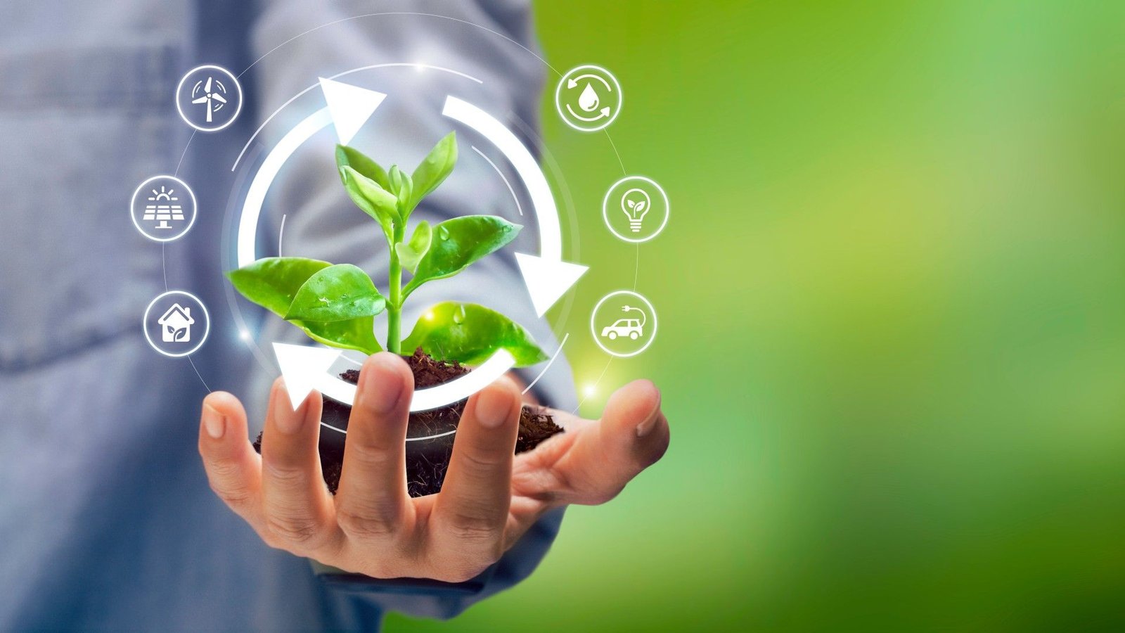 Junho Verde: Economia circular: o modelo que pode substituir o desperdício