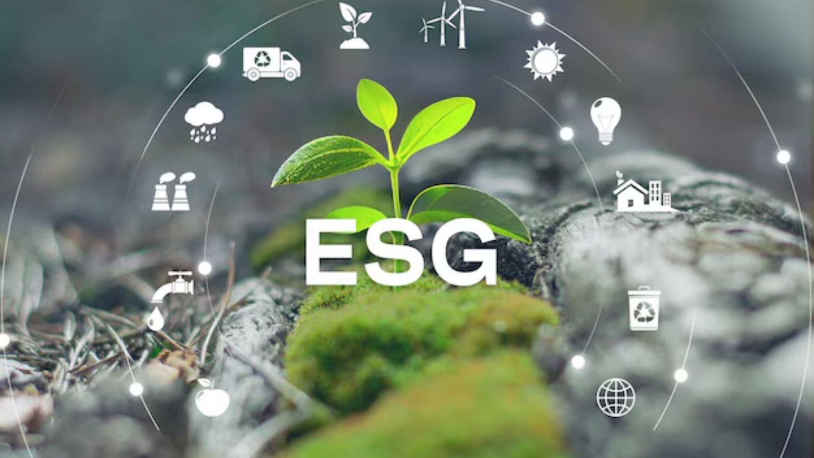 Junho Verde: Como empresas brasileiras estão aplicando ESG na prática e mudando políticas ambientais