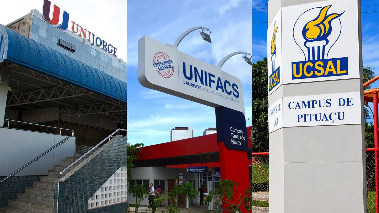 Falhas nas cotas raciais: 39 universidades baianas são pressionadas pelo MPF para impedir fraudes no Prouni